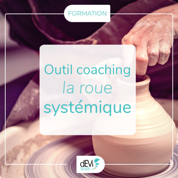 roue-systemique-outil-formation-coaching-devi-mentoring